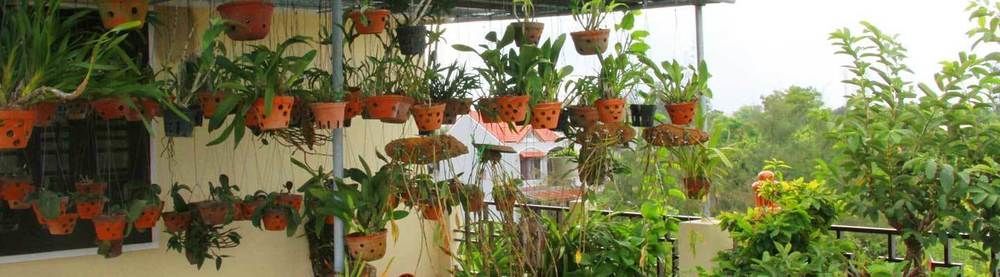 Leaf Homestay Хоян Екстер'єр фото
