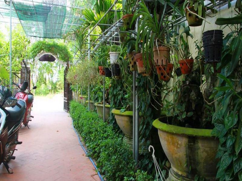 Leaf Homestay Хоян Екстер'єр фото