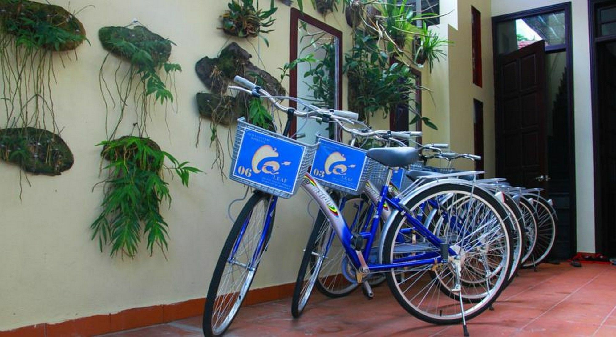 Leaf Homestay Хоян Екстер'єр фото